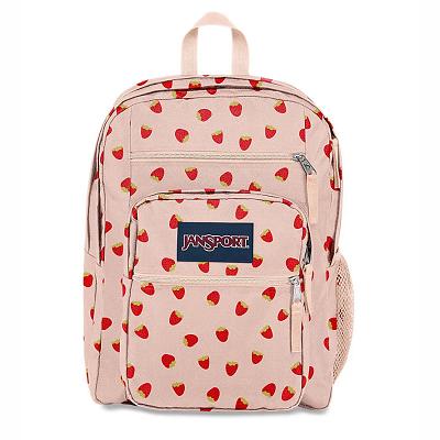 Mochila Para Laptop JanSport BIG STUDENT Rosas | CR_JS584